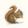 KIT POINT DE CROIX RED SQUIRREL