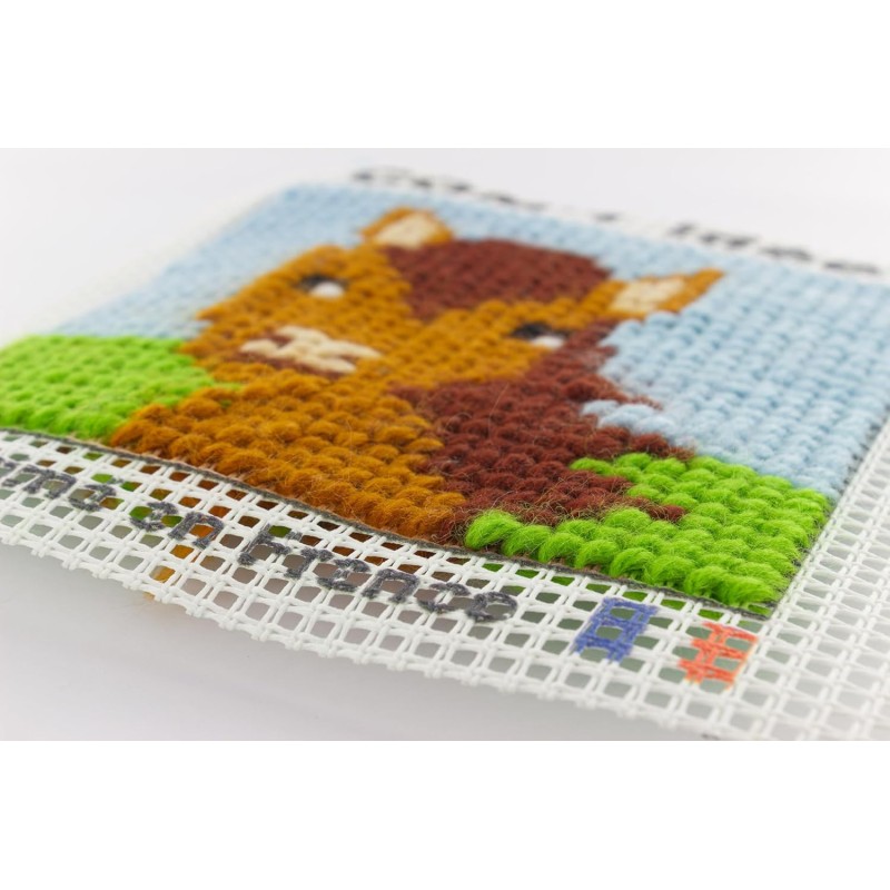 MON PREMIER CANEVAS JUMPER 15X15