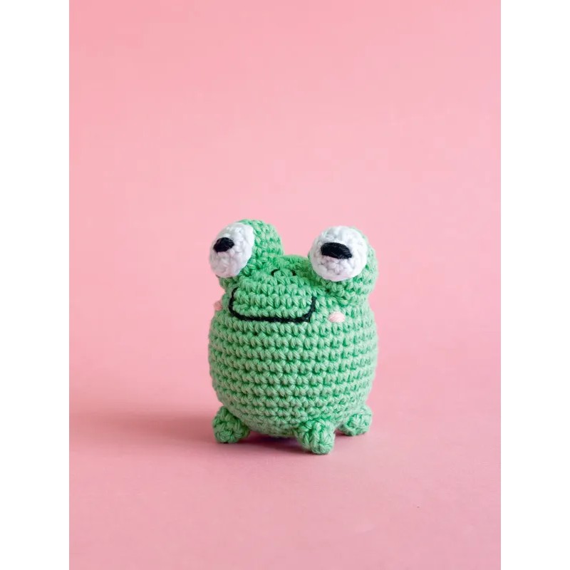 Ma box crochet DIY - La grenouille Apily